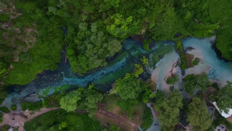 Aerial-overhead-lush-forest-surrounding-blue-Bistrice-river,-Albania