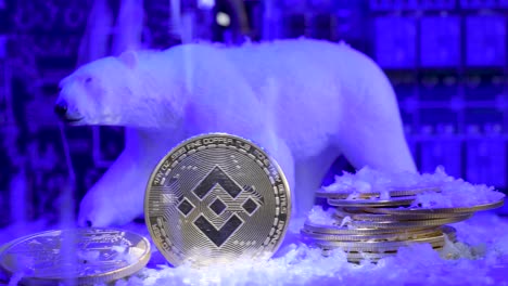 BINANCE-BNB-CRYPTO-WINTER-Concept,-SNOW-fall-on-polar-bear-and-coins,-SLOW-MOTION