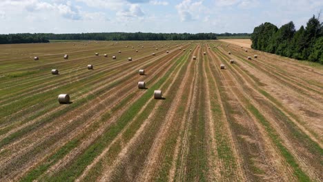 Rising-drone-shot-over-Ontario-Hay-field-filled-with-bailed-hay