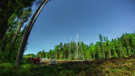 Time-lapse-showing-heavy-machinery-cutting-trees-from-dense-green-jungle