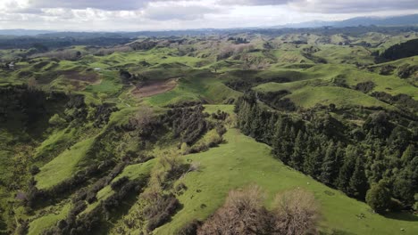 Hermosa-Vista-De-Pájaro-De-Verdes-Colinas-Y-Pastos,-Paisaje-Escénico-De-Nueva-Zelanda-De-La-Isla-Norte