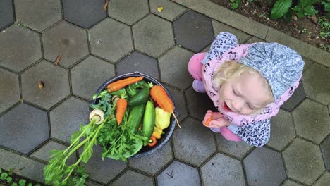 Pequeña-Y-Linda-Niña-Caucásica-Comiendo-Vegetales-Orgánicos-Saludables-De-Un-Balde-Mientras-Sonríe,-Estilo-De-Vida-Fuera-De-La-Red,-Concepto-De-Producción-De-Alimentos-Eco-Sostenible