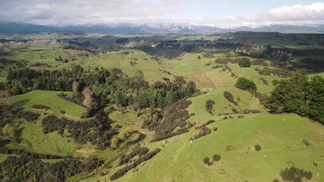 Beautiful-scenic-over-green-New-Zealand-pastures,-typical-farming-landscape---aerial-drone