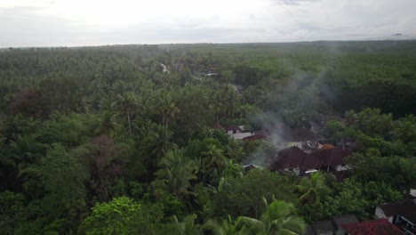 Kleines-Balinesisches-Traditionelles-Dorf-In-Abgelegener,-Isolierter-Grüner-Palmendschungel-Bali-Insel-Indonesien