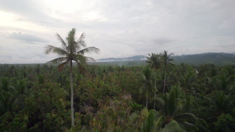 Drone-fly-above-green-natural-jungle-landscape-in-bali-island-indonesia-little-traditional-village