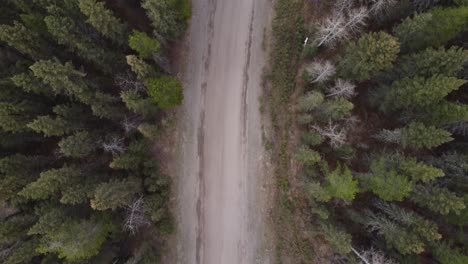 Aerial-view-of-the-road-in-the-forest-right-between-winter-and-spring