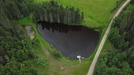 Aerial-shot-of-the-pond-in-the-forest-with-extremely-green-grass-around