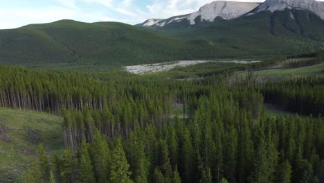 Mountains-covered-with-trees-and-grass-in-a-summertime