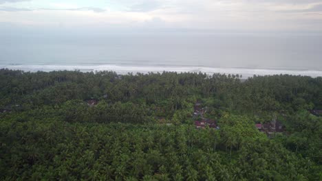 Vista-Aérea-Del-Bosque-Tropical-De-La-Selva-Verde-Con-Impresionantes-Vistas-Al-Océano-En-Bali,-Indonesia