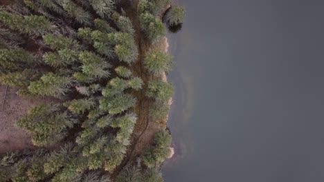 Línea-De-La-Costa-Del-Lago-Y-El-Bosque-Desde-La-Vista-De-Los-Pájaros-Durante-La-Temporada-De-Primavera