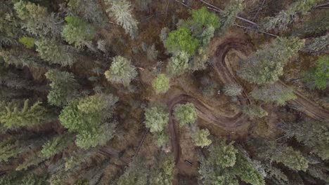 Flying-over-hiking-pathway-in-forest-in-spring-time