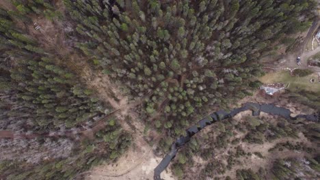 Drone-shot-of-the-forest-in-mid-season-with-pathways-and-creek