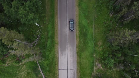 Top-straight-down-view-of-Black-Buick-Enclave-driving-forest-unpaved-road-passing-trees