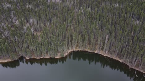 Revelando-La-Orilla-Del-Lago-Y-El-Borde-Del-Bosque-Desde-Arriba