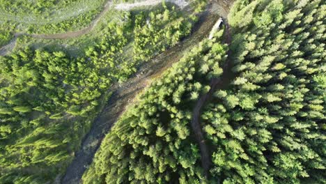 Straight-down-drone-shot-of-the-hiking-pathways-in-the-green-forest-in-summertime