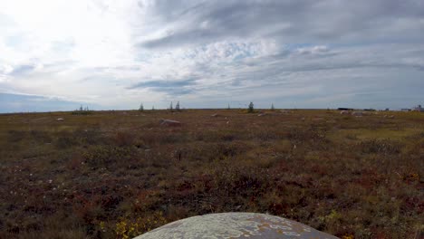 Kanadischer-Subarktischer-Permafrost-Zeitraffer-Im-Sommer-In-Der-Nähe-Von-Churchill,-Manitoba,-Kanada