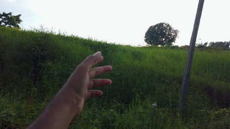 Person's-Hand-On-A-Vehicle-Feeling-The-Breeze-While-Driving-Along-Green-Fields-On-A-Sunny-Morning-In-Trimbakeshwar,-Maharashtra,-India