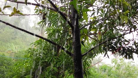 Very-heavy-rains-pouring-down-in-the-Philippines-during-the-monsoon-season