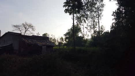 Rural-Landscape-With-Green-Trees-And-Tranquil-Pond-In-Maharashtra,-India---panning