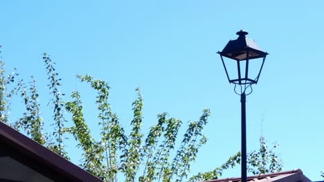 View-of-a-street-lamp-and-branches-of-leaves-on-top-of-a-house