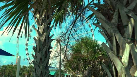 White-moving-Ferris-wheel-behind-the-palm-trees