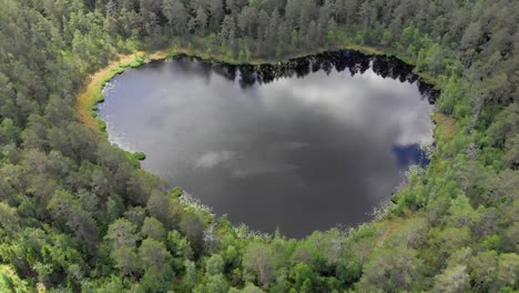 top view of a forest with a heart-shaped lake 5540321 Stock Photo