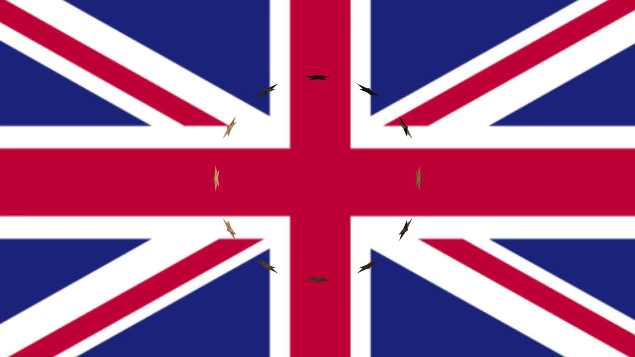 Premium stock video - Brexit graphic animation eu and uk flags with ...