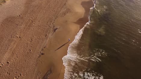 Drone-Birds-eye-shot-of-man-walks-along-a-long-beach,-waves-rolling-over-the-beach,-Uruguay