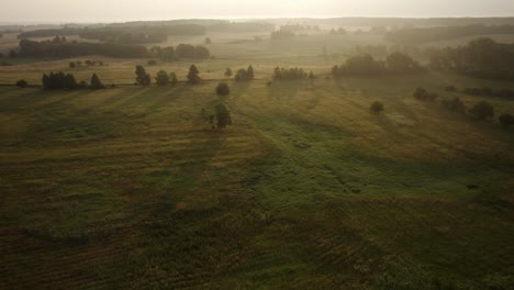 Aerial-trucking-shot-of-the-endless-meadows-lit-by-the-morning-sun-with-gentle-mist-over-the-ground