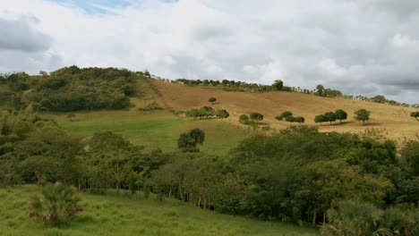 Eagle-flying-over-El-Mamey-hill,-Altagracia-in-Dominican-Republic