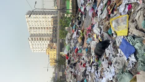 Vista-Vertical-De-Un-Vertedero-De-Basura-Con-Un-Perro-Negro-Sentado-En-La-Basura-Y-Comiendo-Comida-Rancia-Del-Vertedero-Con-La-Vista-De-Un-Edificio-De-Varios-Pisos-En-El-Fondo-En-Dhaka,-Bangladesh