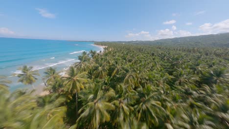 Tropischer-Strand-Playa-Coson-In-Las-Terrenas,-Dominikanische-Republik---Antenne-Fpv