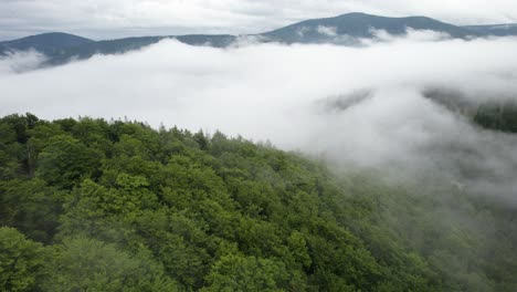 Aerial-trucking-shot-over-the-woods-in-a-mountain-valley-with-thick-vapor-due-to-the-condensation-process-of-creating-clouds-by-the-forest