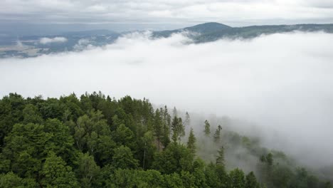 Vuelo-Aéreo-Sobre-El-Bosque-En-Las-Montañas-Cubiertas-Por-Una-Espesa-Niebla