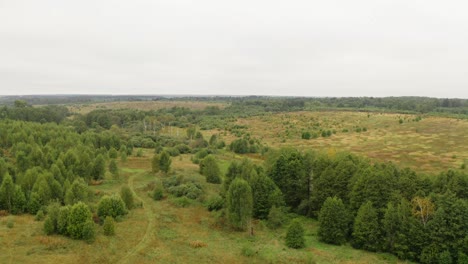Flying-Above-Wild-Marshy-Fields-And-Woodlands-On-Moody-Day