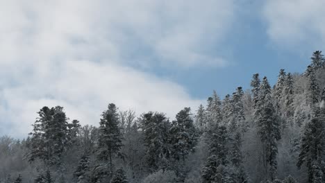 Bosque-De-Montaña-De-Invierno-De-Lapso-De-Tiempo-Cubierto-De-Nieve-Con-Cielo-Azul-Y-Nubes-Esponjosas-En-Vosges-Francia-4k