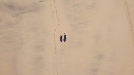 Top-Down-View-Of-Two-Tourists-Walking-On-The-Sandy-Shore-At-Godrevy-Beach-In-Cornwall,-England---drone-shot