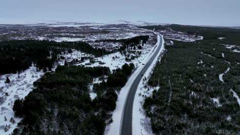 Monochrome-Of-Endless-Road-On-Snow-Covered-Forest-In-South-Iceland