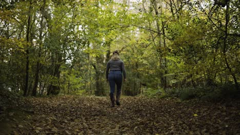 Mujer-Activa-Caminando-Por-El-Camino-A-Través-De-Un-Denso-Bosque-Verde-En-Lanhydrock,-Cornwall,-Reino-Unido