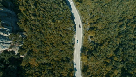 Aerial-of-cars-driving-on-winding-forest-road-through-scenic-landscape,-top-view