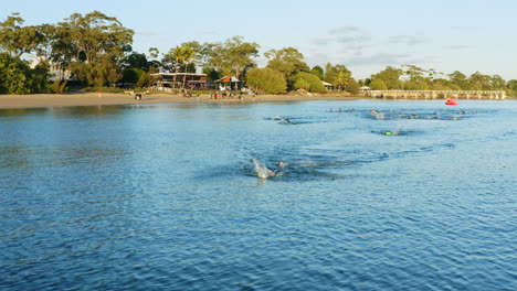 Athlete-Swimmer-Leading-Open-Water-Swim-Race,-4K-Aerial-Drone,-Australia
