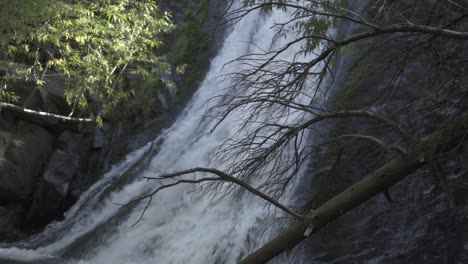 Schöner-Wasserfall-Hinter-Zweigen-Und-Blättern