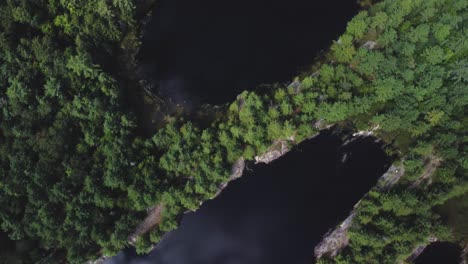 Top-down-drone-view-on-remote-lakes-surrounded-by-woods-and-trees-with-beautiful-reflections-hb06