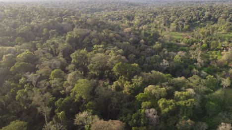 Luftüberführung-Tiefer-Iguazu-Regenwald-Dschungel-In-Argentinien-An-Sonnigen-Tagen-Mit-Wolken-In-Der-Luft
