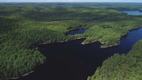 Crane-drone-view-of-a-remote-lake-surrounded-by-woods-and-trees-hb03