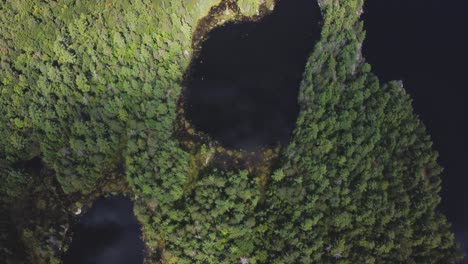 Top-down-drone-view-on-remote-lakes-surrounded-by-woods-and-trees-with-beautiful-reflections-and-unique-sunlight-hb08