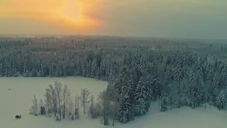 Aerial-panning-left-view-revealing-an-isolated-snowy-boreal-forest-landscape-at-sunset