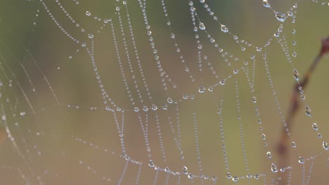 Nahaufnahme-Eines-Spinnennetzes,-Das-Mit-Kleinen-Wassertropfen-Aus-Dem-Tau-Bedeckt-Ist