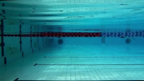Nicht-Erkennbare-Menschen,-Die-In-Einem-Olympischen-Schwimmbecken-Auf-Der-Gegenspur-Schwimmen