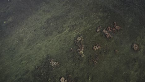 Excelente-Toma-Aérea-Del-Arrecife-En-Molokai,-Hawaii